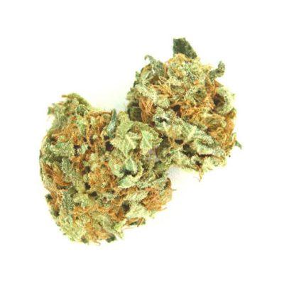 AK 47 Strain