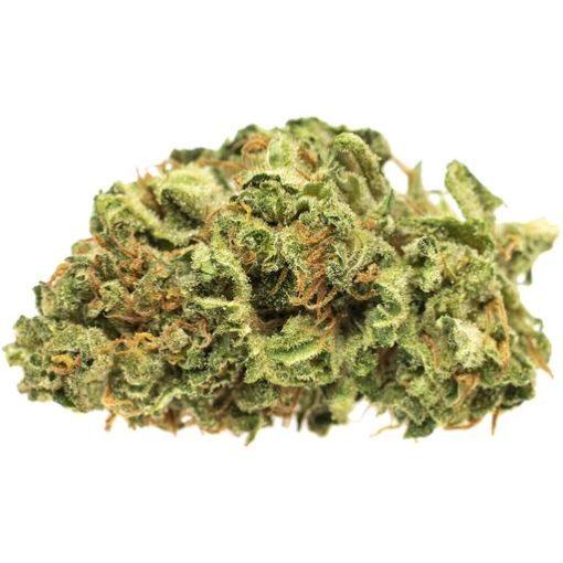 Afghan Kush Strain Afghan Kush Strain