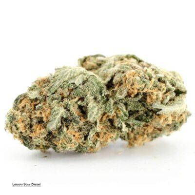 Lemon Sour Diesel Strain